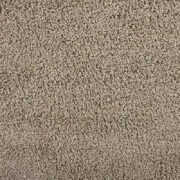 Beige shaggy carpet texture.