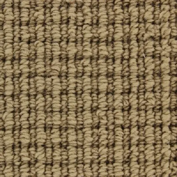 Striped brown and beige carpet texture.