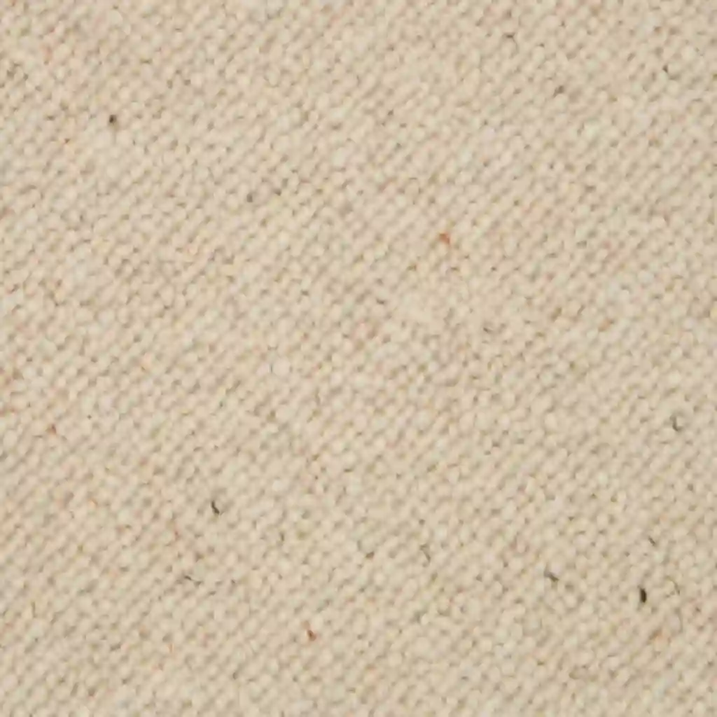 Office carpet 45 Berber Loop