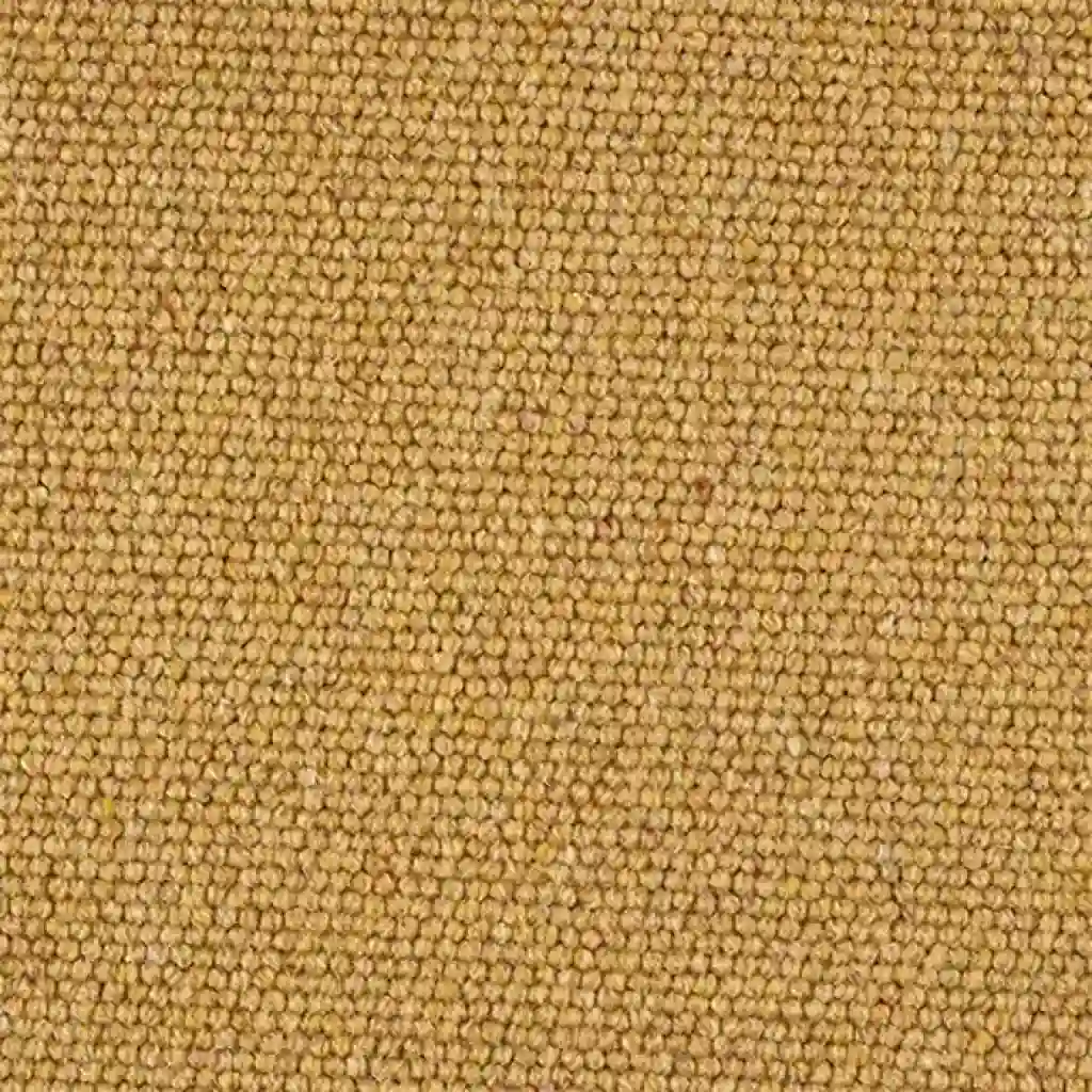 Hotel carpet 53 Berber Loop