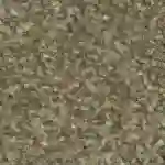 Office carpet 9 Carpet Tiles Flooring for Modern UAE Interiors